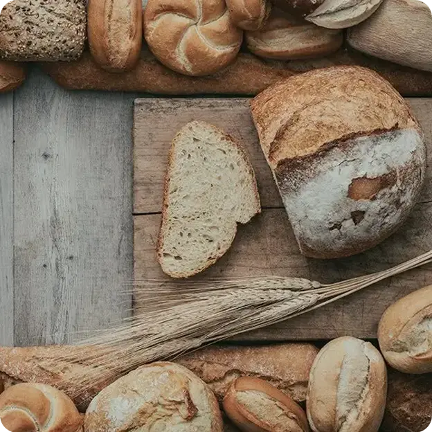 Assortment of bread and grains.