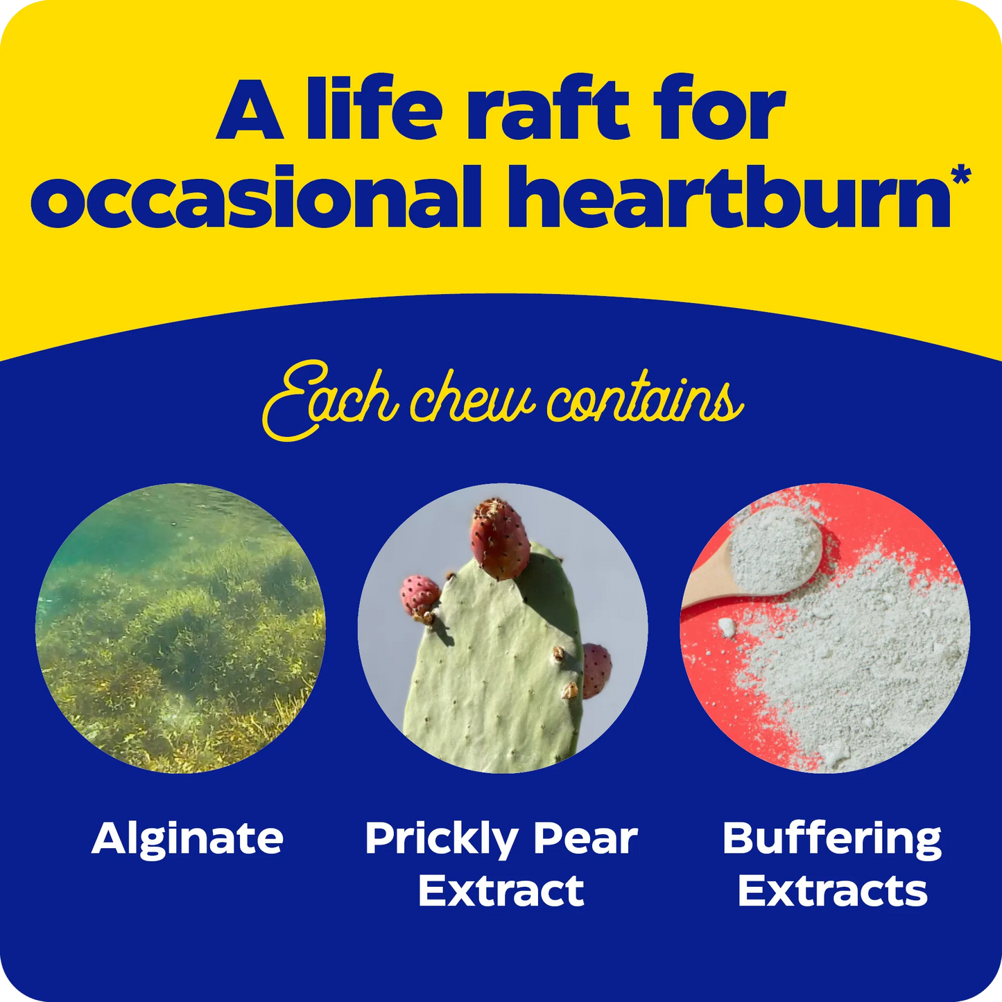 Ingredient graphic for Heartburn Soothe showing alginate, prickly pear extract, and buffering extracts as key components in each chew.