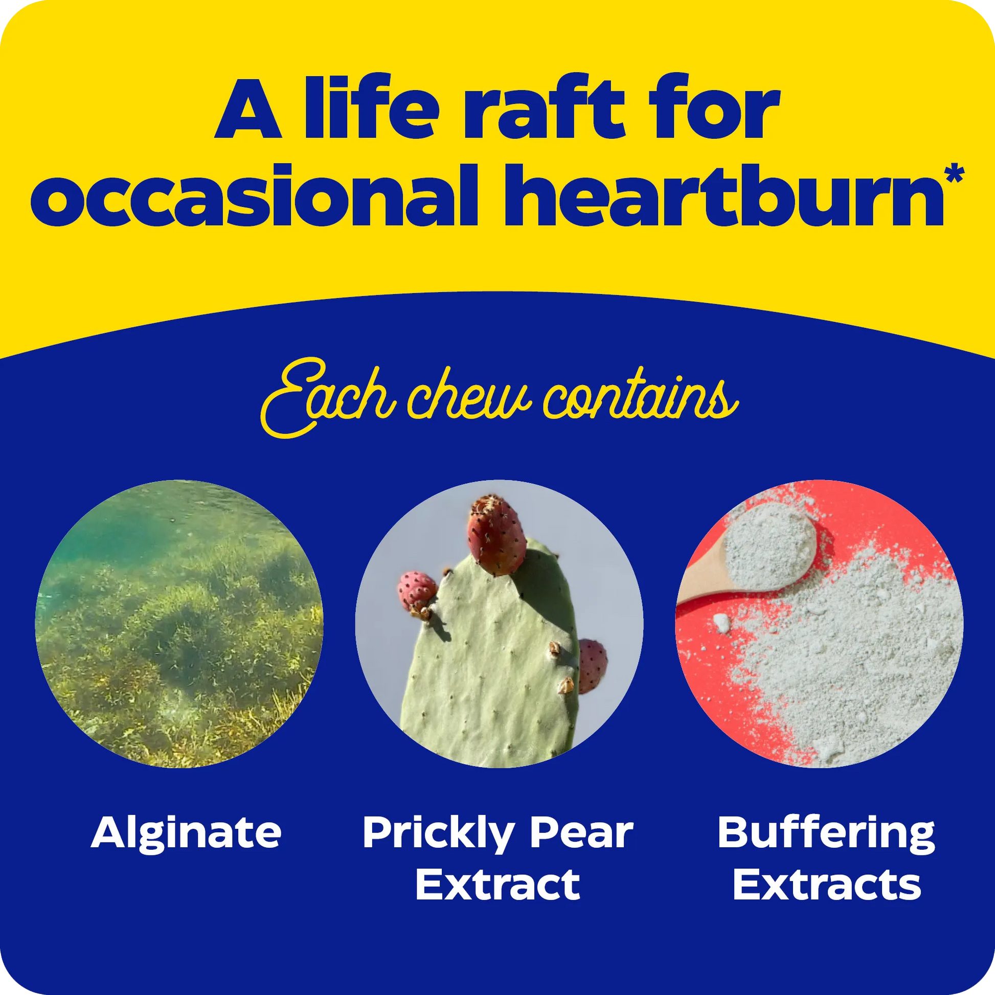 Ingredient graphic for Heartburn Soothe showing alginate, prickly pear extract, and buffering extracts as key components in each chew.