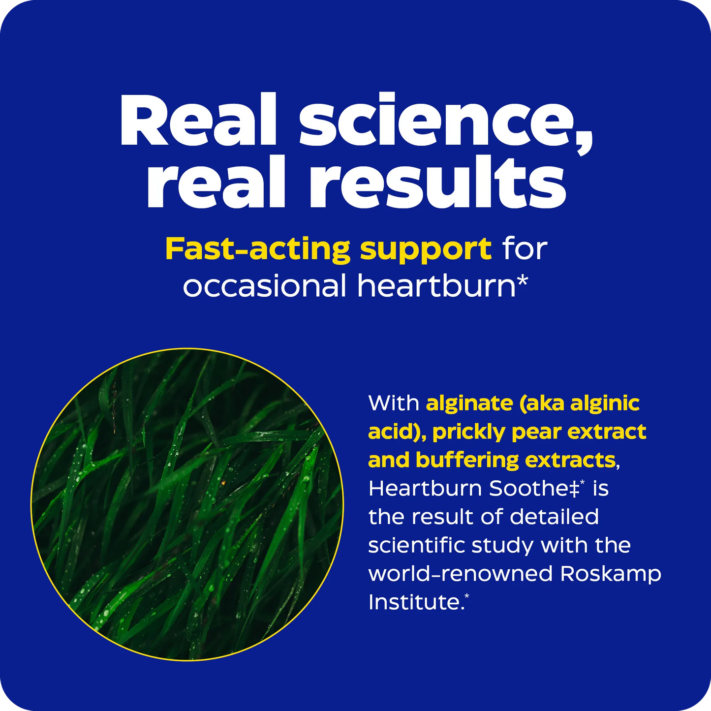 Heartburn Soothe science graphic describing fast-acting support for occasional heartburn with alginate, prickly pear extract, and buffering extracts, next to a close-up seaweed image.
