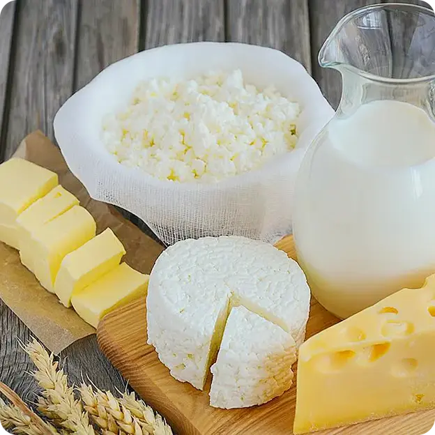 Different dairy products (cheese, milk, etc..)