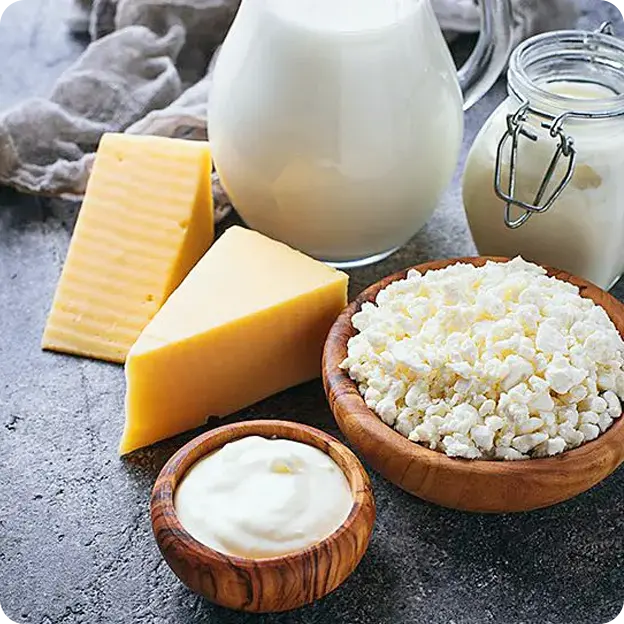 Different dairy products (milk, cheeses, etc..)