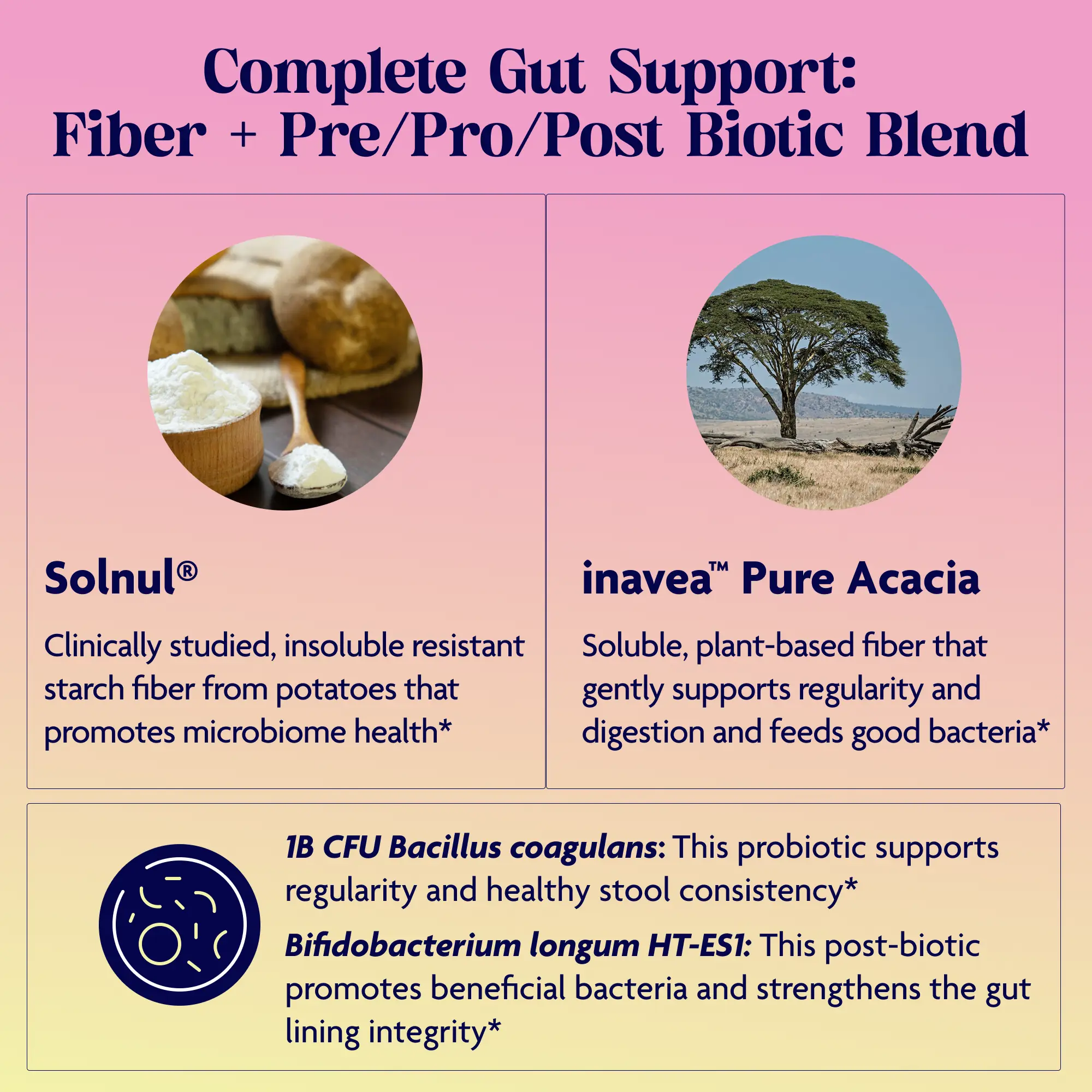 Let's Go Fiber+ Tropical