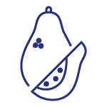 Organic papaya icon
