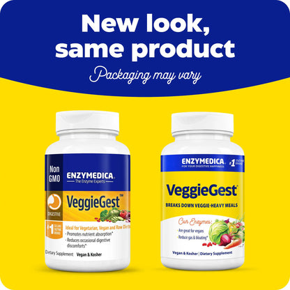 This image shows the new look for VeggieGest.