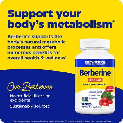 Berberine 800mg