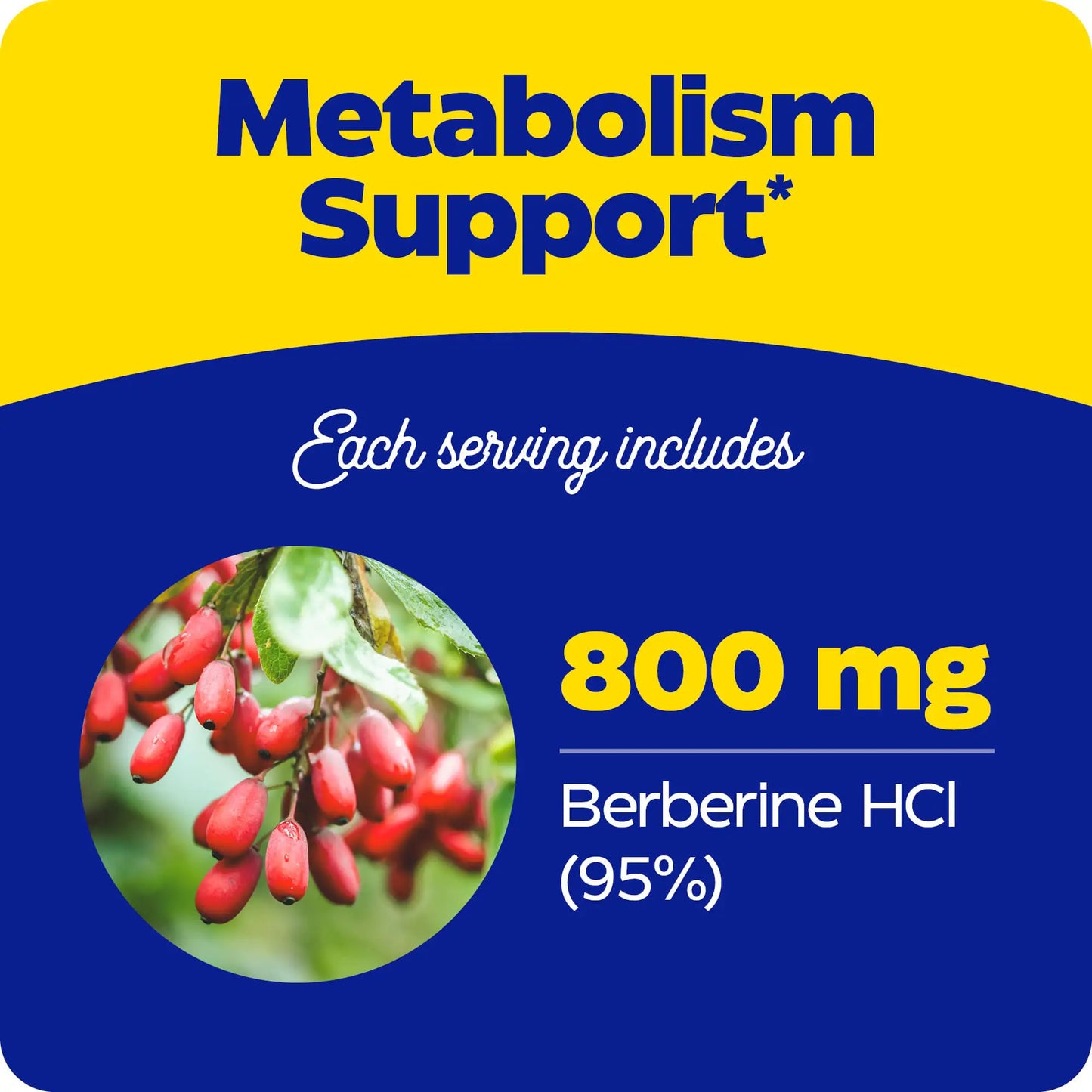 Berberine 800mg