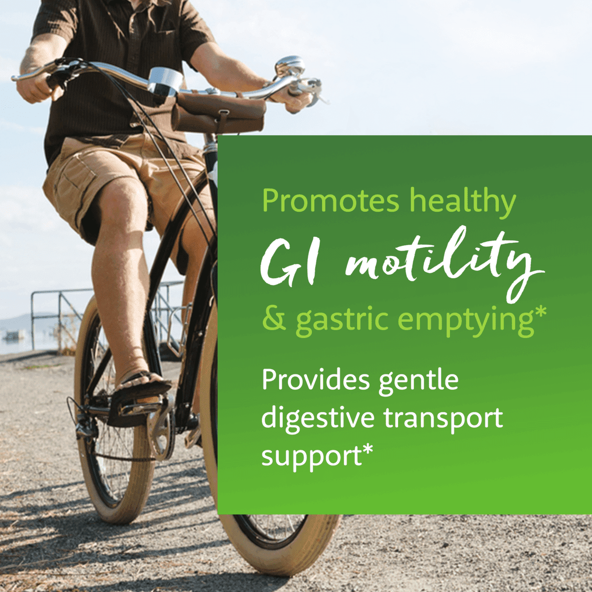 Gut Motility