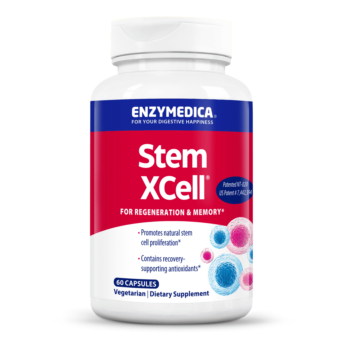 Enzymedica® | Stem XCell™ | Supports Brain Health